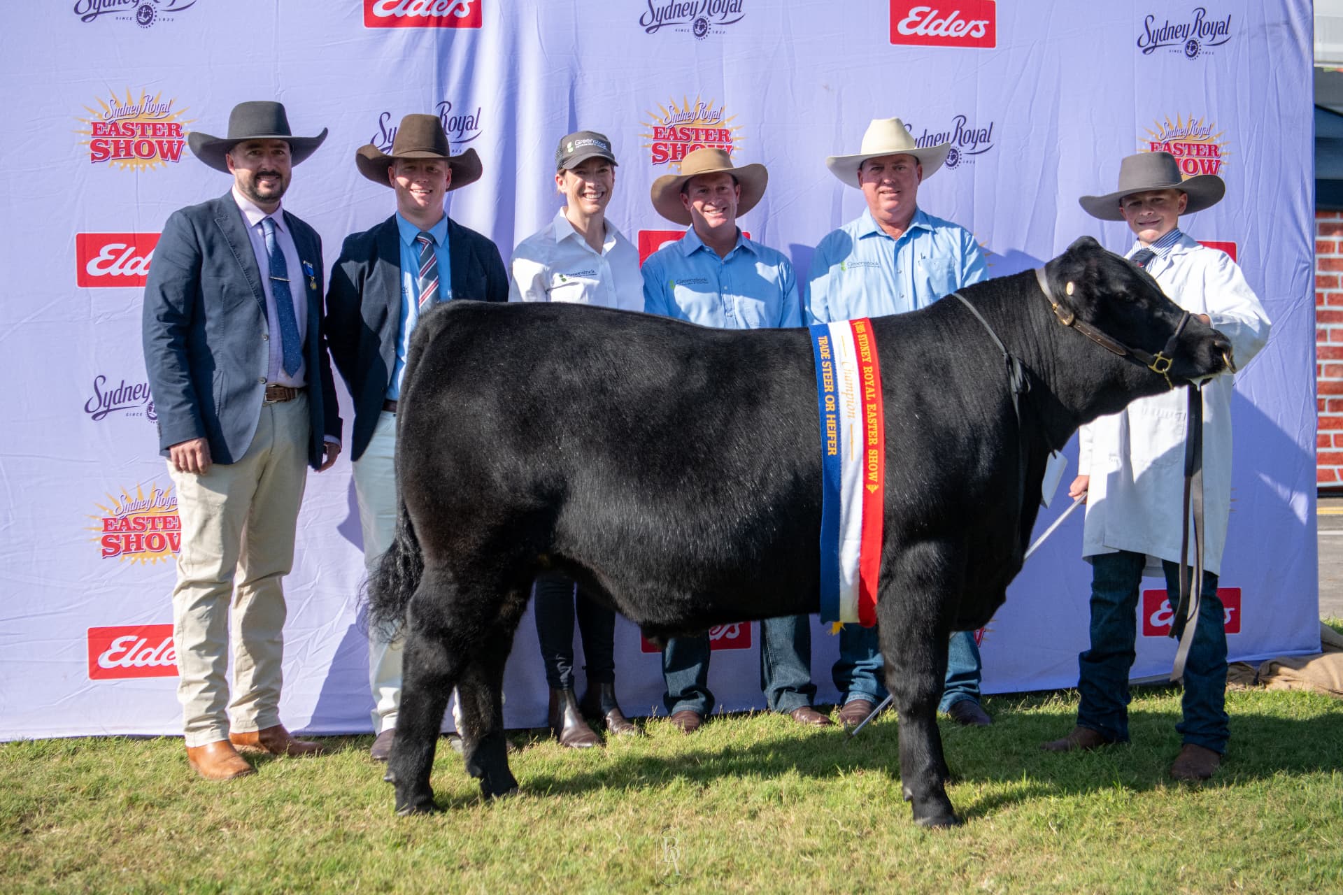 Angus and Black Simmental Cattle